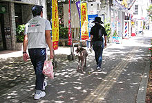 犬 出張訓練